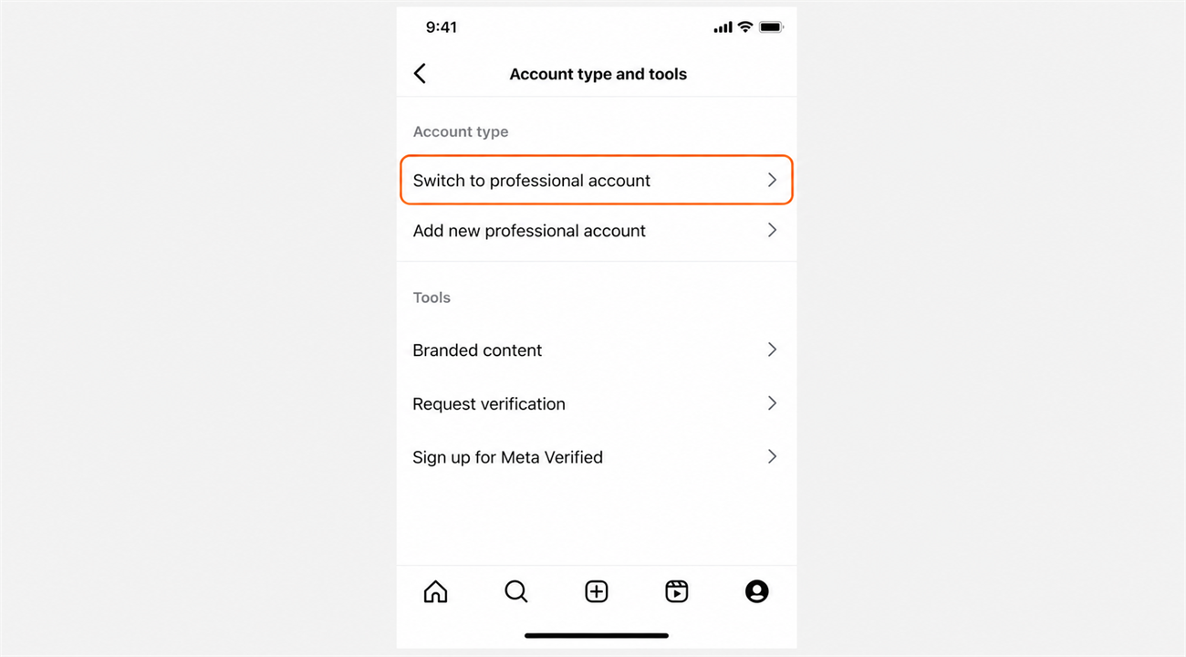 Instagram settings with Switch to professional account selected